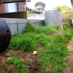 gardening-mowing-services-landscaping-mobile-log-splitting-adelaide__before_01